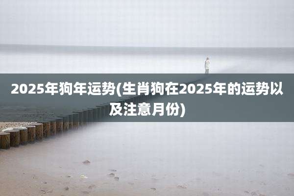 2025年狗年运势(生肖狗在2025年的运势以及注意月份)