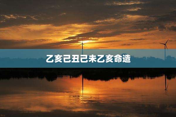 乙亥己丑己未乙亥命造