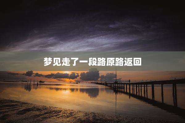 梦见走了一段路原路返回