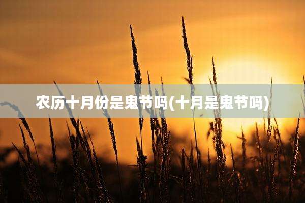 农历十月份是鬼节吗(十月是鬼节吗)