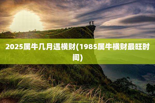2025属牛几月遇横财(1985属牛横财最旺时间)