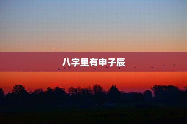 八字里有申子辰