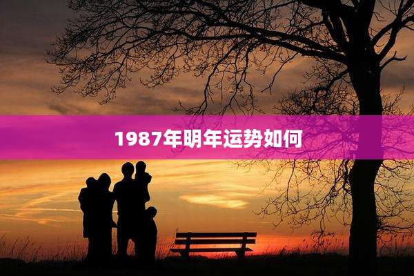 1987年明年运势如何