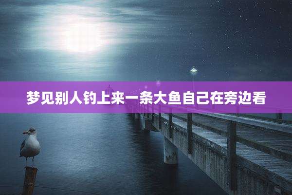 梦见别人钓上来一条大鱼自己在旁边看
