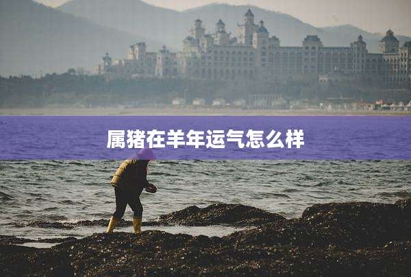 属猪在羊年运气怎么样