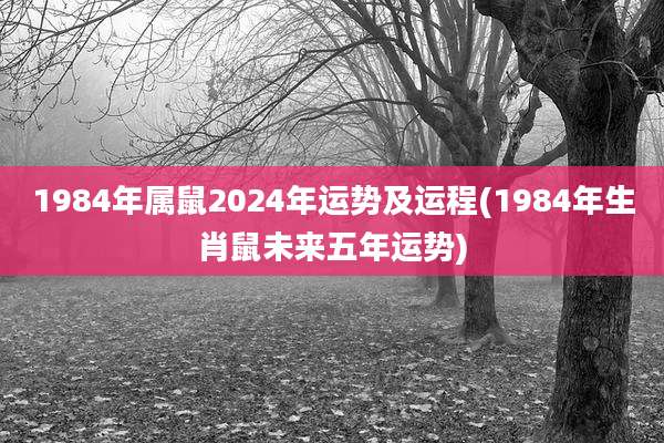 1984年属鼠2024年运势及运程(1984年生肖鼠未来五年运势)