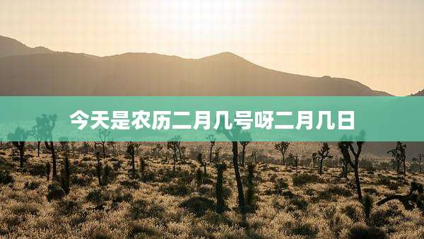 今天是农历二月几号呀二月几日