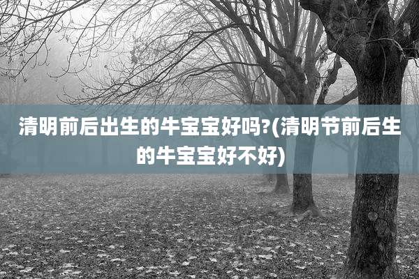 清明前后出生的牛宝宝好吗?(清明节前后生的牛宝宝好不好)