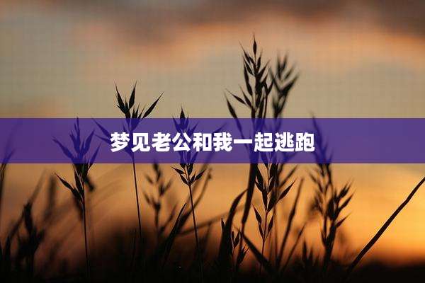 梦见老公和我一起逃跑