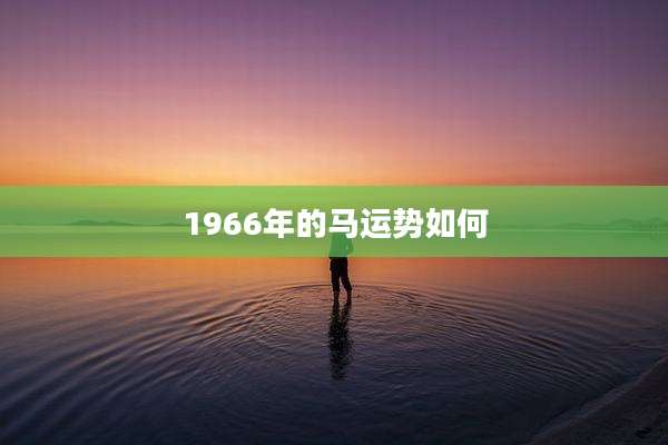 1966年的马运势如何
