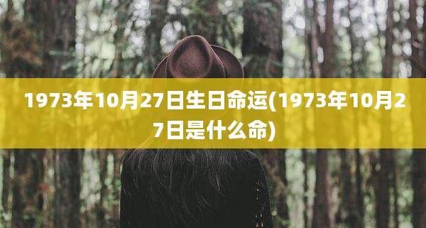 1973年10月27日生日命运(1973年10月27日是什么命)