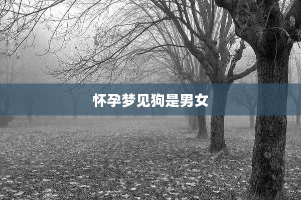 怀孕梦见狗是男女