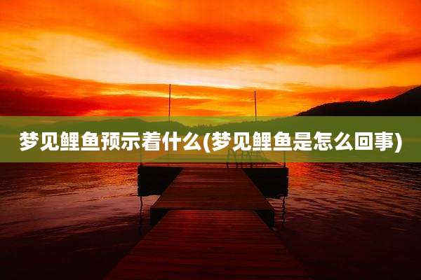 梦见鲤鱼预示着什么(梦见鲤鱼是怎么回事)
