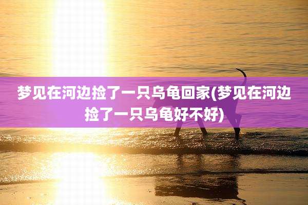 梦见在河边捡了一只乌龟回家(梦见在河边捡了一只乌龟好不好)