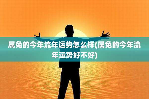 属兔的今年流年运势怎么样(属兔的今年流年运势好不好)