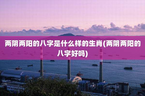 两阴两阳的八字是什么样的生肖(两阴两阳的八字好吗)