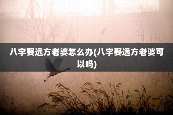 八字娶远方老婆怎么办(八字娶远方老婆可以吗)