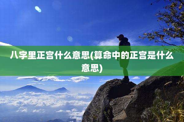 八字里正宫什么意思(算命中的正宫是什么意思)