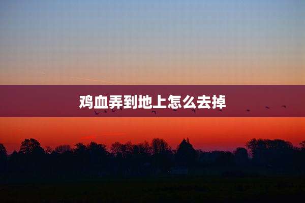 鸡血弄到地上怎么去掉