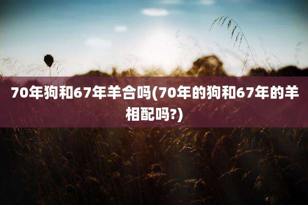 70年狗和67年羊合吗(70年的狗和67年的羊相配吗?)