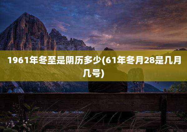 1961年冬至是阴历多少(61年冬月28是几月几号)