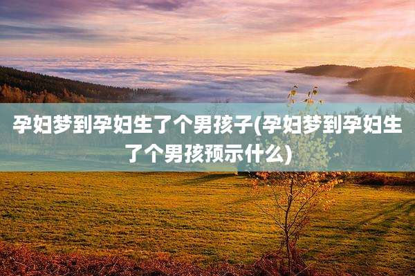 孕妇梦到孕妇生了个男孩子(孕妇梦到孕妇生了个男孩预示什么)