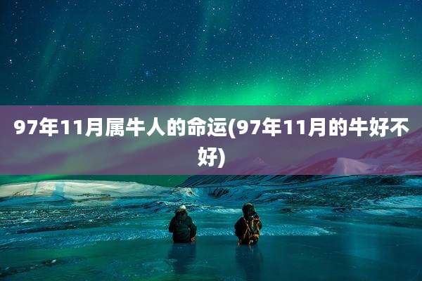 97年11月属牛人的命运(97年11月的牛好不好)