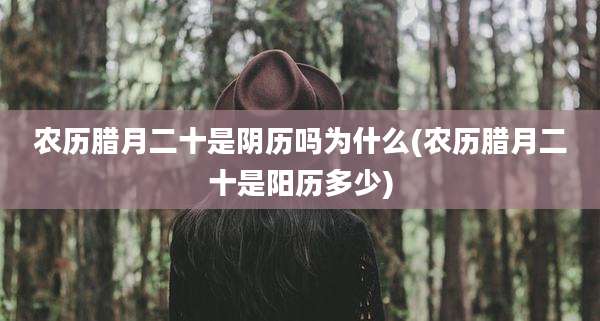农历腊月二十是阴历吗为什么(农历腊月二十是阳历多少)