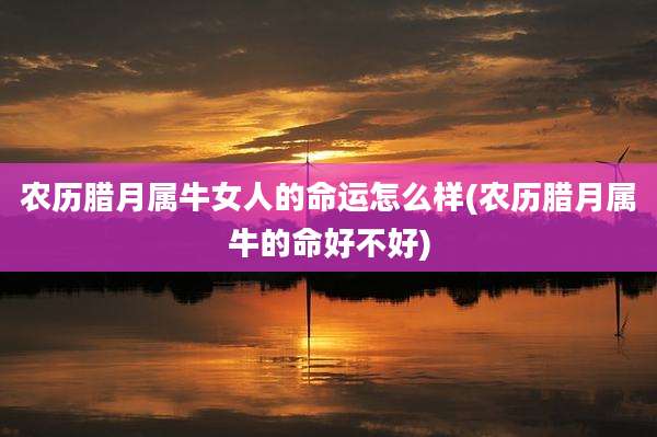 农历腊月属牛女人的命运怎么样(农历腊月属牛的命好不好)