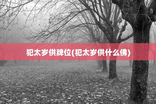 犯太岁供牌位(犯太岁供什么佛)