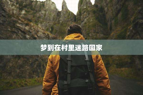 梦到在村里迷路回家