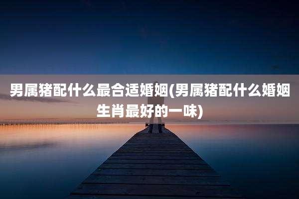 男属猪配什么最合适婚姻(男属猪配什么婚姻生肖最好的一味)