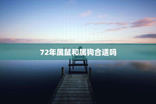 72年属鼠和属狗合适吗