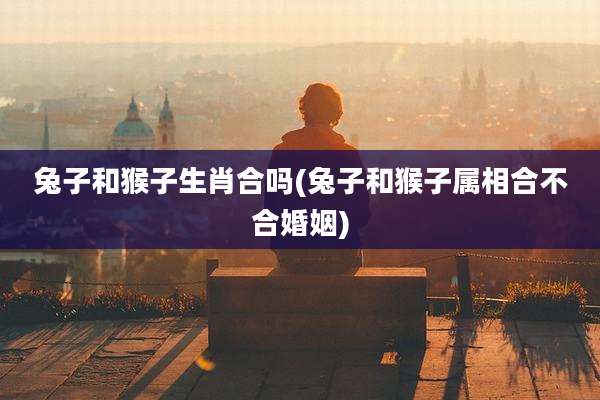 兔子和猴子生肖合吗(兔子和猴子属相合不合婚姻)