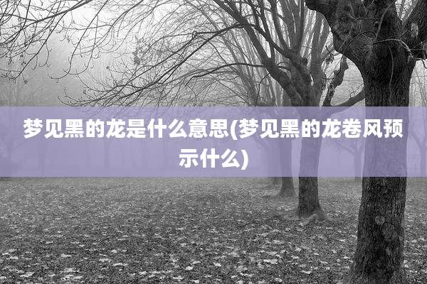 梦见黑的龙是什么意思(梦见黑的龙卷风预示什么)
