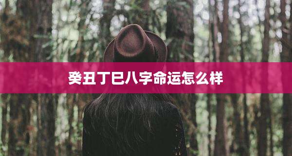 癸丑丁巳八字命运怎么样