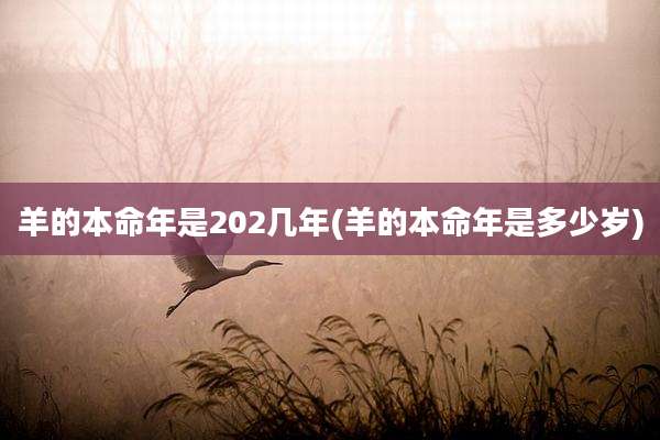 羊的本命年是202几年(羊的本命年是多少岁)