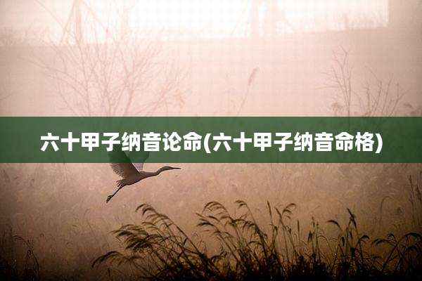 六十甲子纳音论命(六十甲子纳音命格)