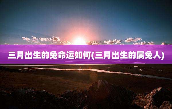 三月出生的兔命运如何(三月出生的属兔人)