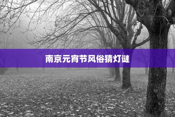 南京元宵节风俗猜灯谜