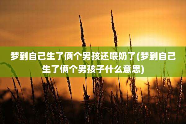 梦到自己生了俩个男孩还喂奶了(梦到自己生了俩个男孩子什么意思)