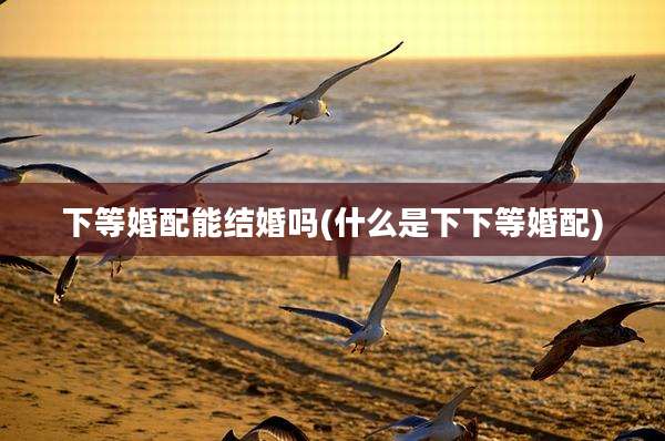 下等婚配能结婚吗(什么是下下等婚配)