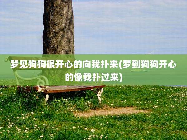 梦见狗狗很开心的向我扑来(梦到狗狗开心的像我扑过来)
