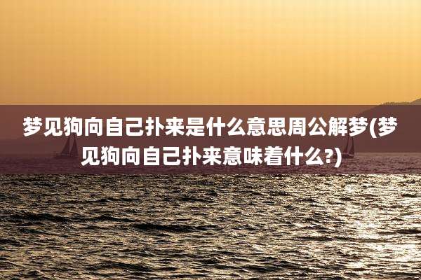 梦见狗向自己扑来是什么意思周公解梦(梦见狗向自己扑来意味着什么?)