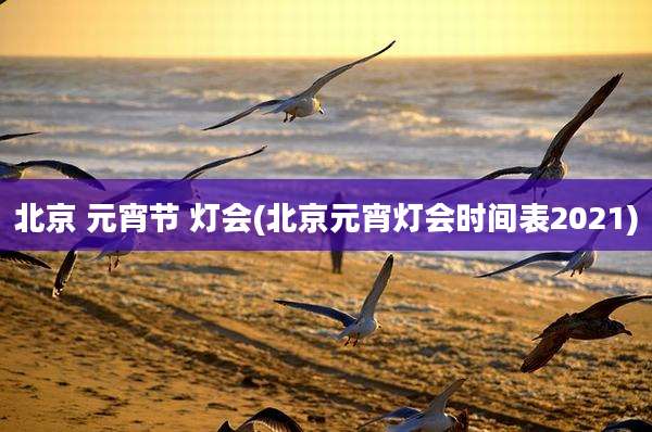 北京 元宵节 灯会(北京元宵灯会时间表2021)