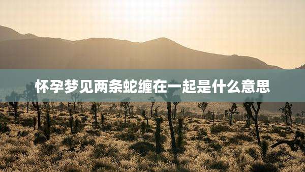 怀孕梦见两条蛇缠在一起是什么意思