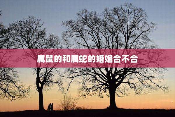 属鼠的和属蛇的婚姻合不合