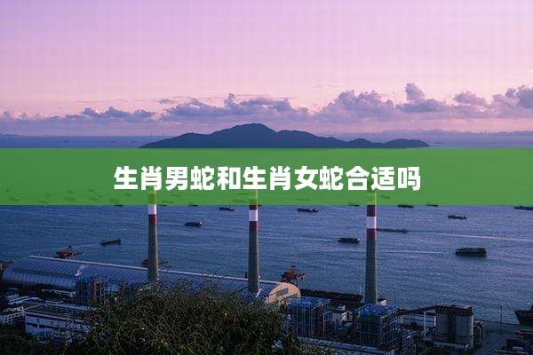 生肖男蛇和生肖女蛇合适吗