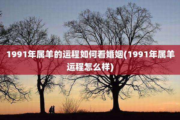 1991年属羊的运程如何看婚姻(1991年属羊运程怎么样)