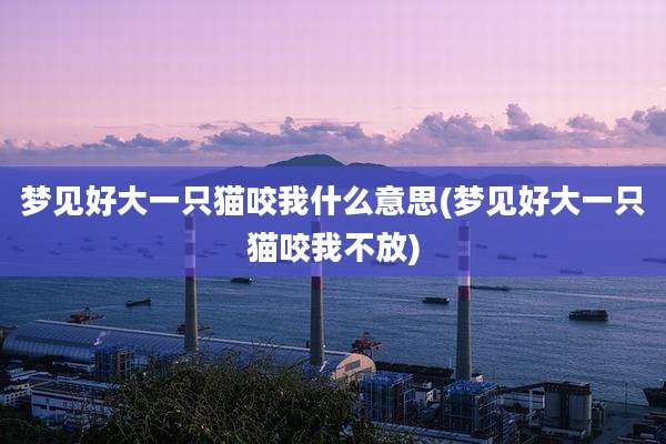梦见好大一只猫咬我什么意思(梦见好大一只猫咬我不放)